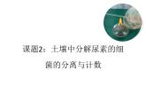 人教版 (新課標(biāo))高中生物選修1 2-2《土壤中分解尿素的細(xì)菌的分離與計(jì)數(shù)》（第1課時(shí)）課件
