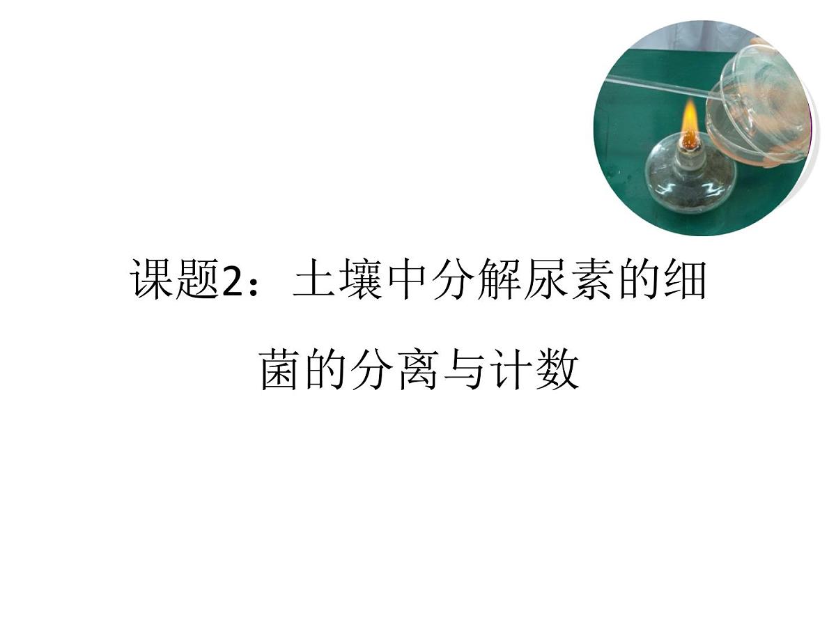人教版 (新课标)高中生物选修1 2-2《土壤中分解尿素的细菌的分离与计数》（第1课时）课件第1页