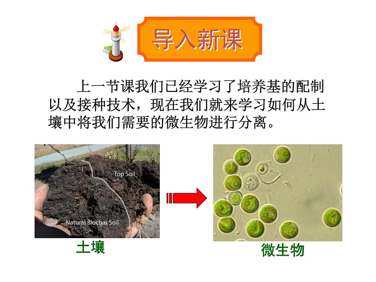 人教版 (新课标)高中生物选修1 2-2《土壤中分解尿素的细菌的分离与计数》（第1课时）课件第2页