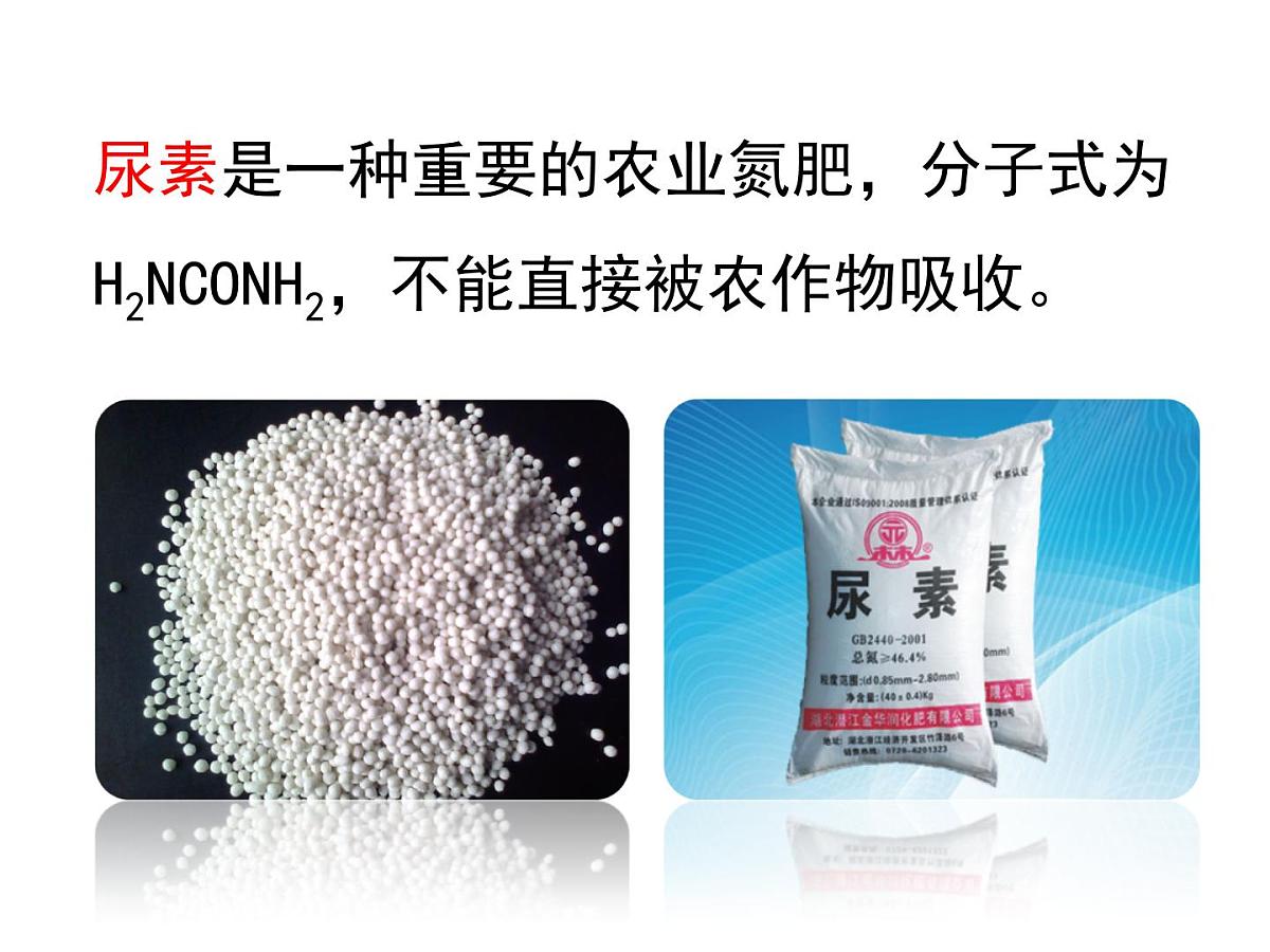 人教版 (新课标)高中生物选修1 2-2《土壤中分解尿素的细菌的分离与计数》（第1课时）课件第3页