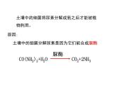 人教版 (新課標(biāo))高中生物選修1 2-2《土壤中分解尿素的細(xì)菌的分離與計(jì)數(shù)》（第1課時(shí)）課件