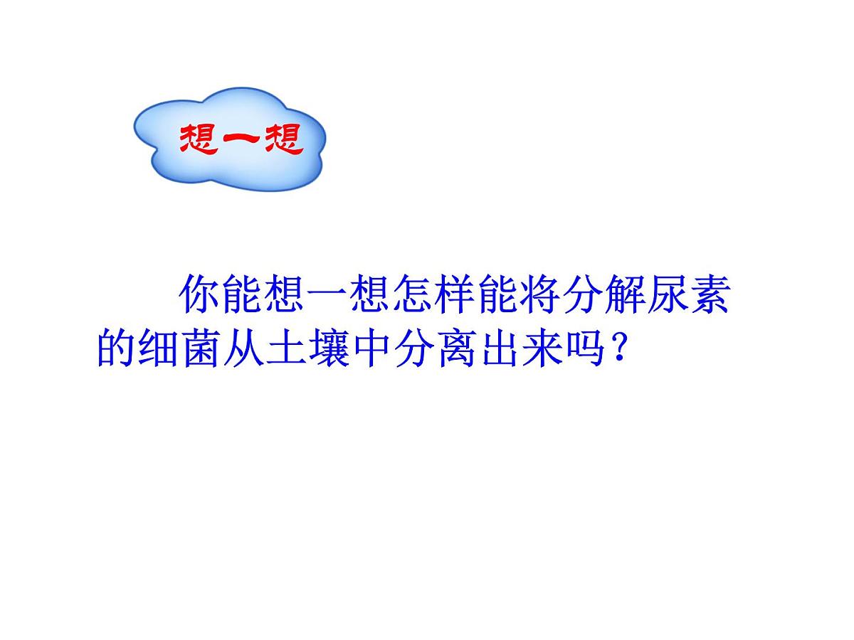 人教版 (新课标)高中生物选修1 2-2《土壤中分解尿素的细菌的分离与计数》（第1课时）课件第6页