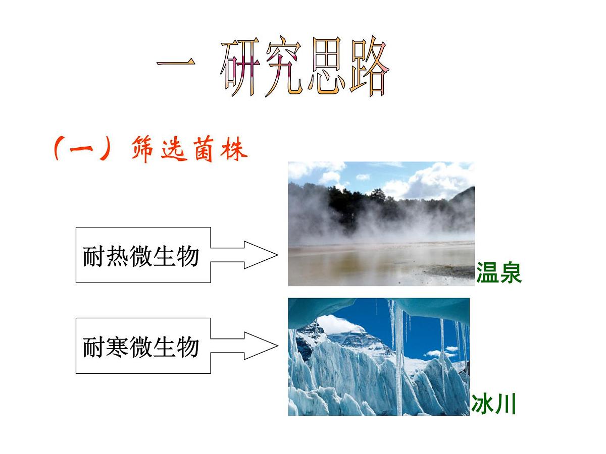 人教版 (新课标)高中生物选修1 2-2《土壤中分解尿素的细菌的分离与计数》（第1课时）课件第7页