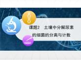 人教版 (新課標(biāo))高中生物選修1 2-2《土壤中分解尿素的細(xì)菌的分離與計(jì)數(shù)》課件