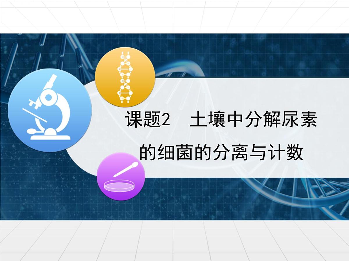 人教版 (新课标)高中生物选修1 2-2《土壤中分解尿素的细菌的分离与计数》课件第1页