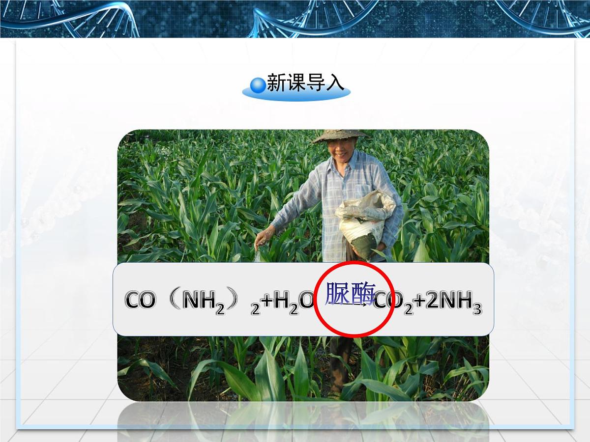 人教版 (新课标)高中生物选修1 2-2《土壤中分解尿素的细菌的分离与计数》课件第2页