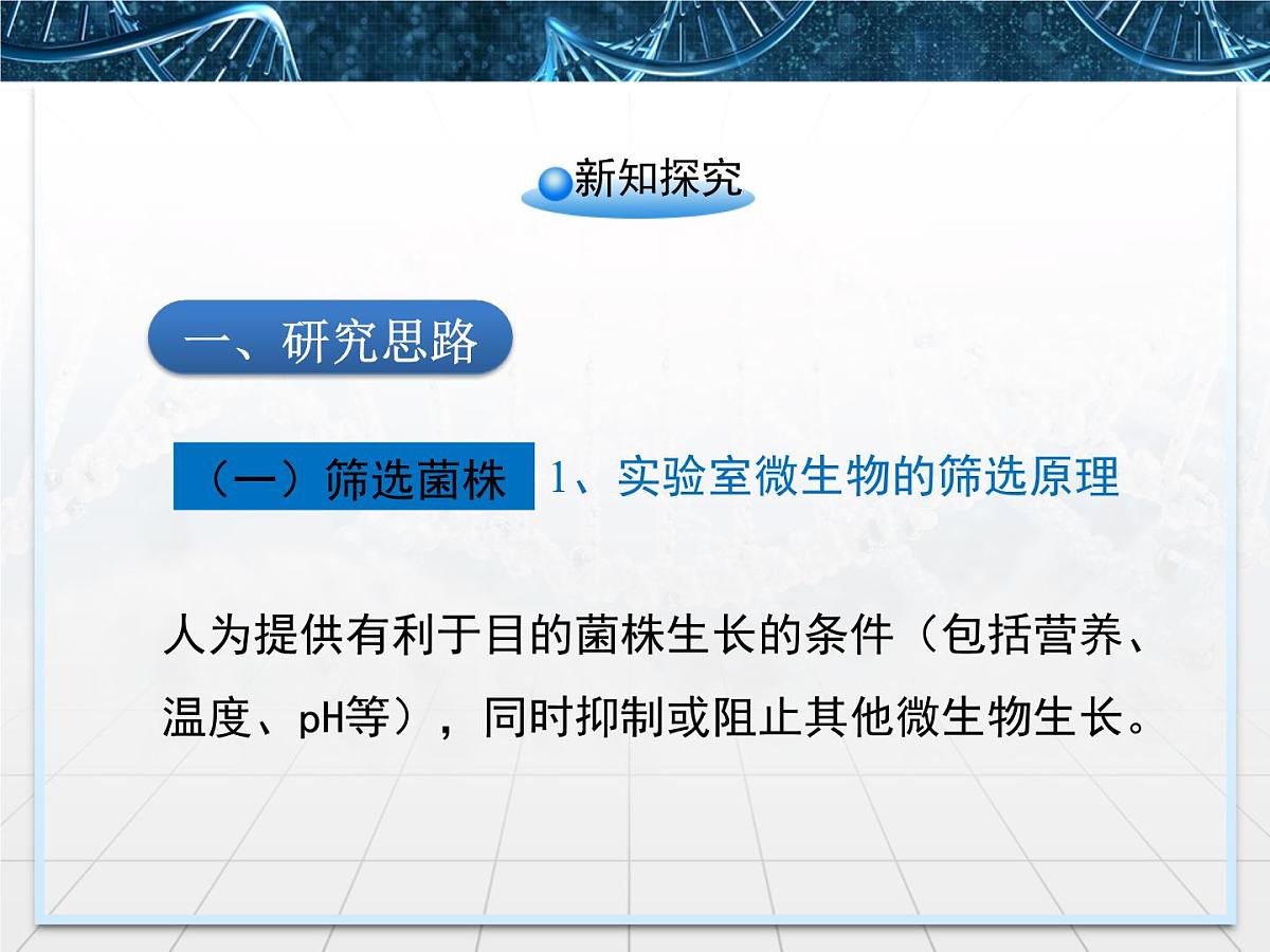 人教版 (新课标)高中生物选修1 2-2《土壤中分解尿素的细菌的分离与计数》课件第5页