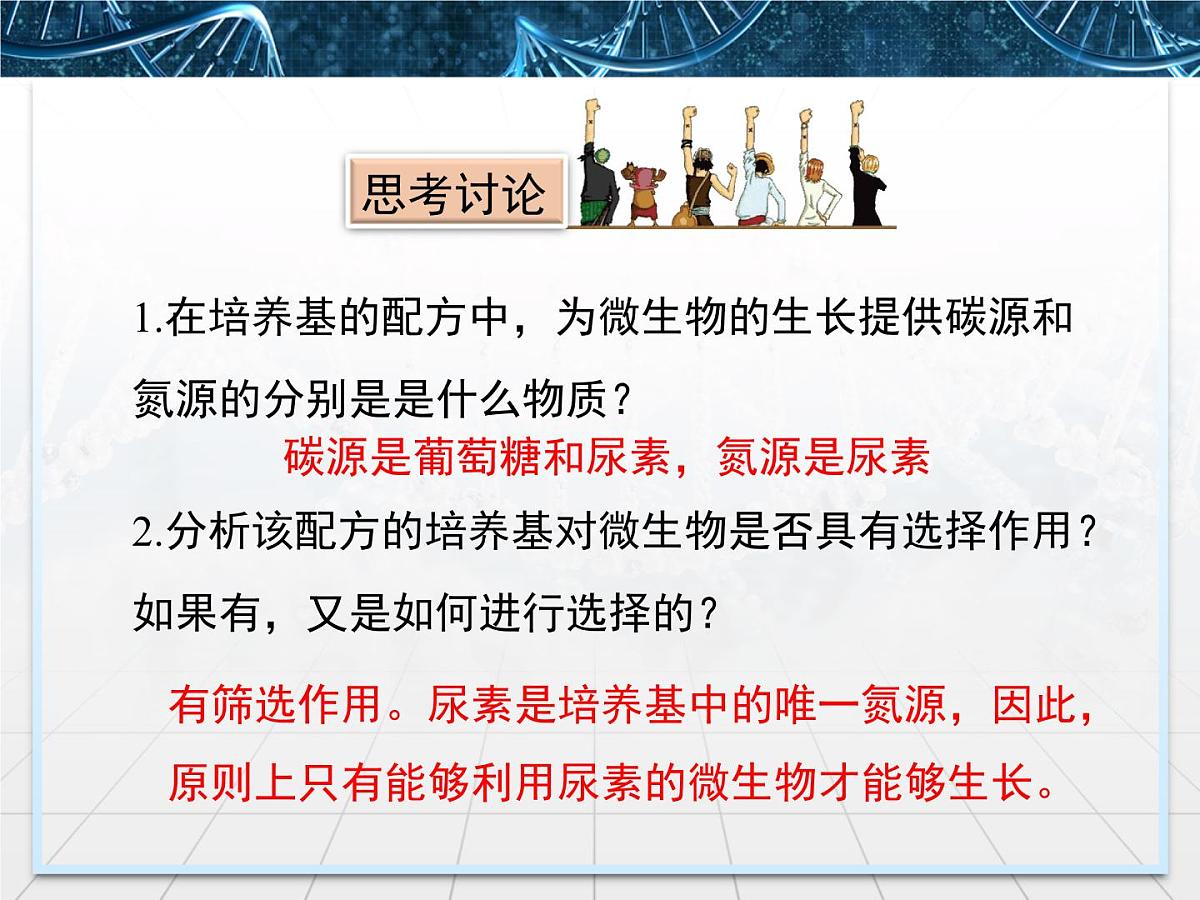人教版 (新课标)高中生物选修1 2-2《土壤中分解尿素的细菌的分离与计数》课件第7页