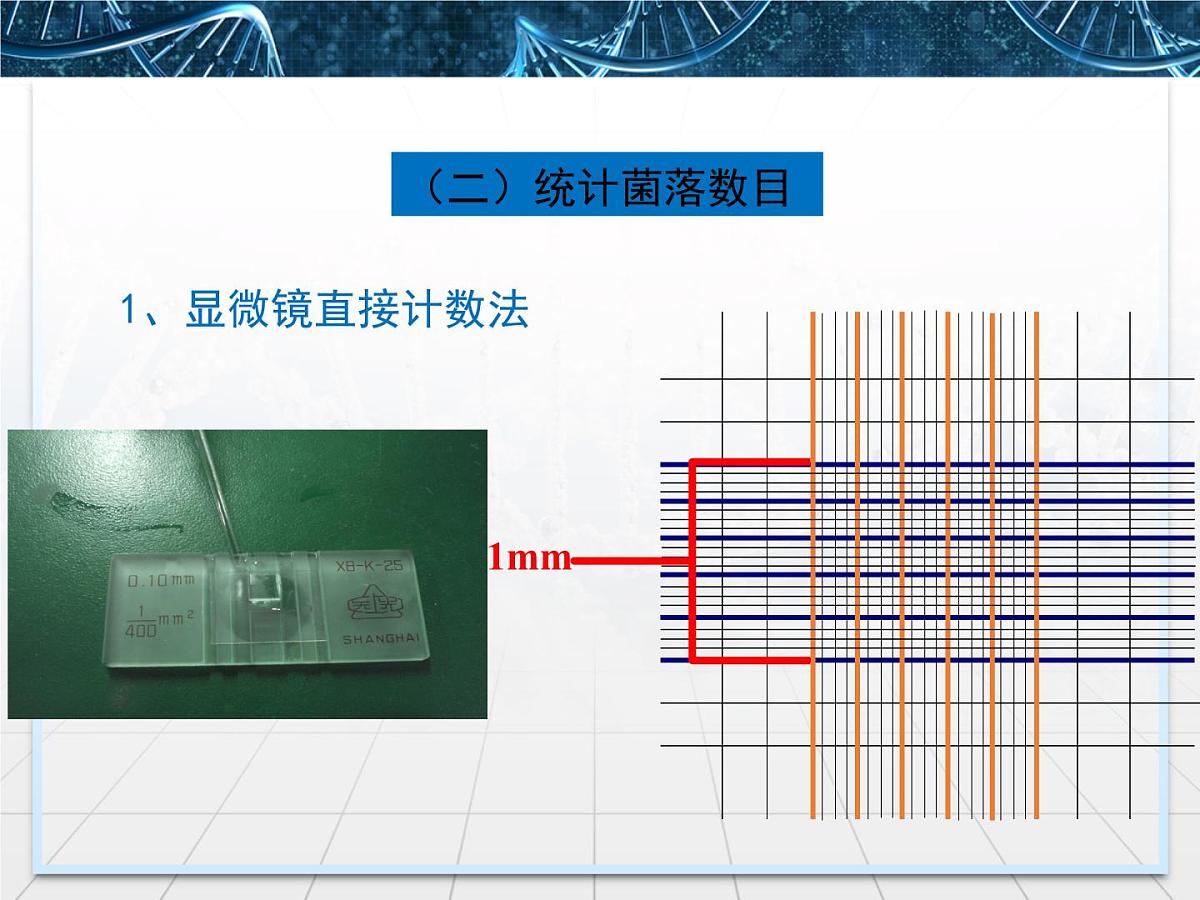人教版 (新课标)高中生物选修1 2-2《土壤中分解尿素的细菌的分离与计数》课件第8页
