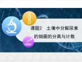 人教版 (新課標(biāo))高中生物選修1 2-2《土壤中分解尿素的細(xì)菌的分離與計(jì)數(shù)》課件
