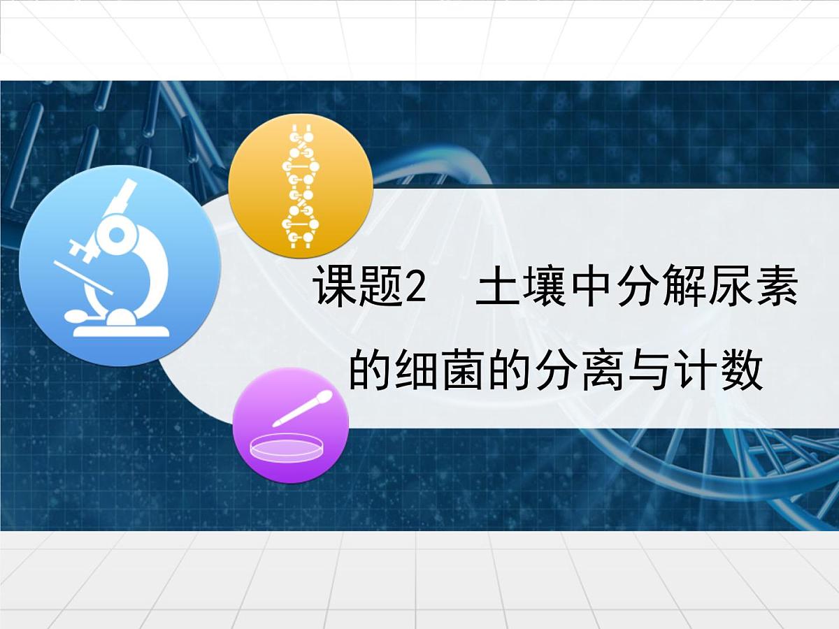 人教版 (新课标)高中生物选修1 2-2《土壤中分解尿素的细菌的分离与计数》课件第1页