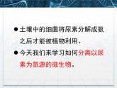 人教版 (新課標(biāo))高中生物選修1 2-2《土壤中分解尿素的細(xì)菌的分離與計(jì)數(shù)》課件