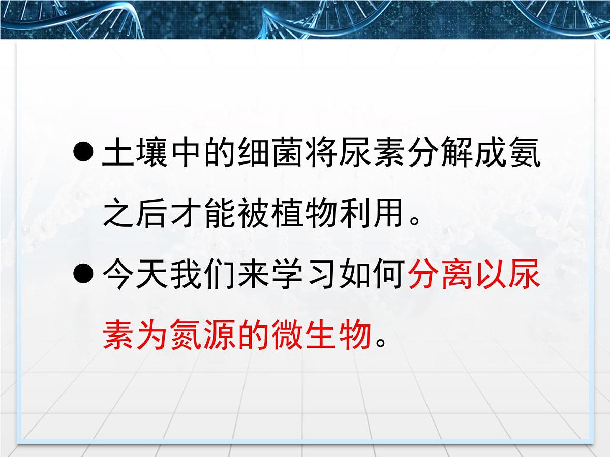 人教版 (新课标)高中生物选修1 2-2《土壤中分解尿素的细菌的分离与计数》课件第3页