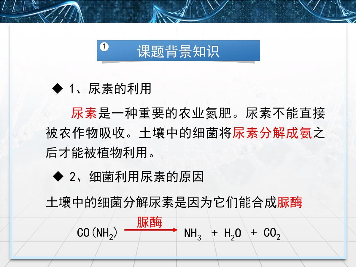 人教版 (新课标)高中生物选修1 2-2《土壤中分解尿素的细菌的分离与计数》课件第6页