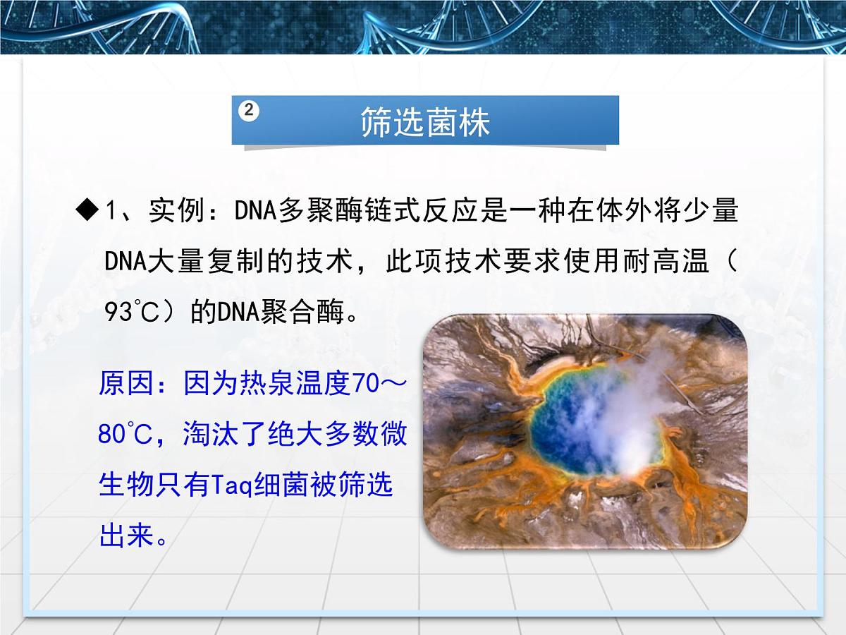 人教版 (新课标)高中生物选修1 2-2《土壤中分解尿素的细菌的分离与计数》课件第8页