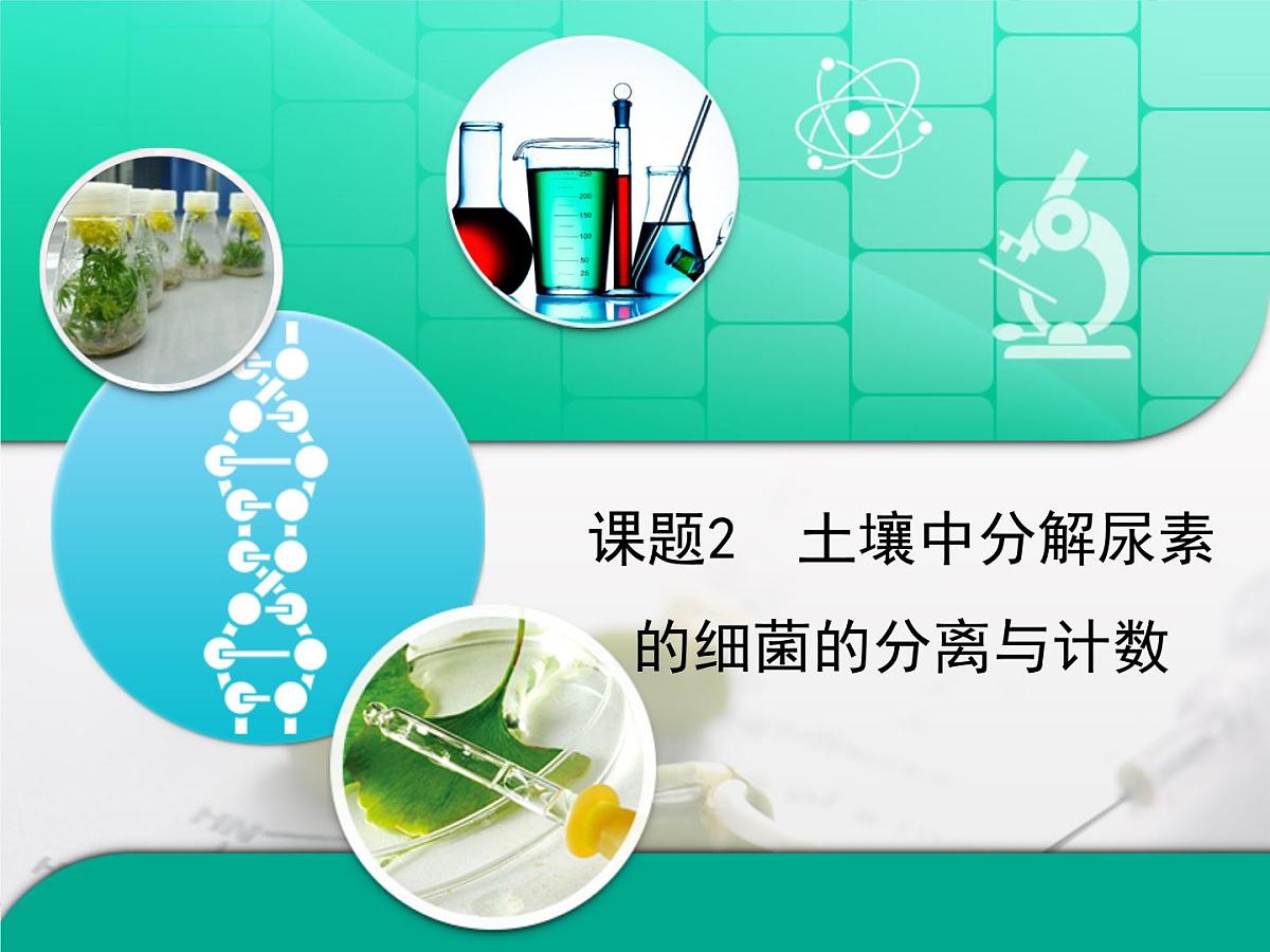 人教版 (新课标)高中生物选修1 2-2《土壤中分解尿素的细菌的分离与计数》复习课件第1页