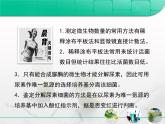 人教版 (新課標(biāo))高中生物選修1 2-2《土壤中分解尿素的細(xì)菌的分離與計數(shù)》復(fù)習(xí)課件