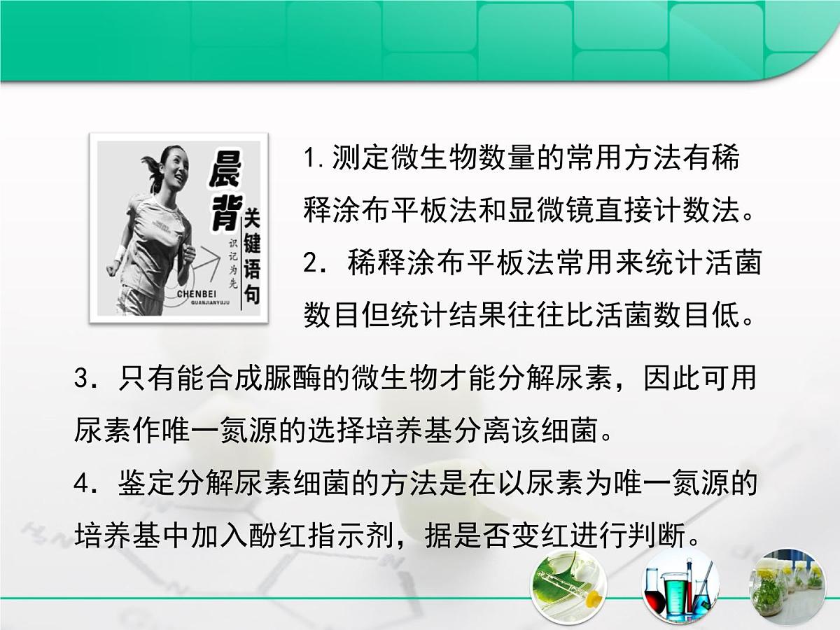 人教版 (新课标)高中生物选修1 2-2《土壤中分解尿素的细菌的分离与计数》复习课件第3页