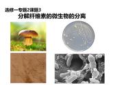 人教版 (新課標(biāo))高中生物選修1 2-3《分解纖維素的微生物的分離》課件