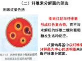 人教版 (新課標(biāo))高中生物選修1 2-3《分解纖維素的微生物的分離》課件