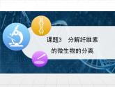 人教版 (新課標(biāo))高中生物選修1 2-3《分解纖維素的微生物的分離》課件