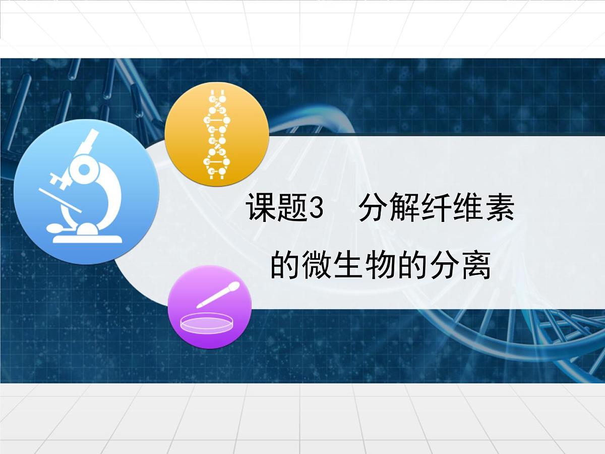人教版 (新课标)高中生物选修1 2-3《分解纤维素的微生物的分离》课件第1页