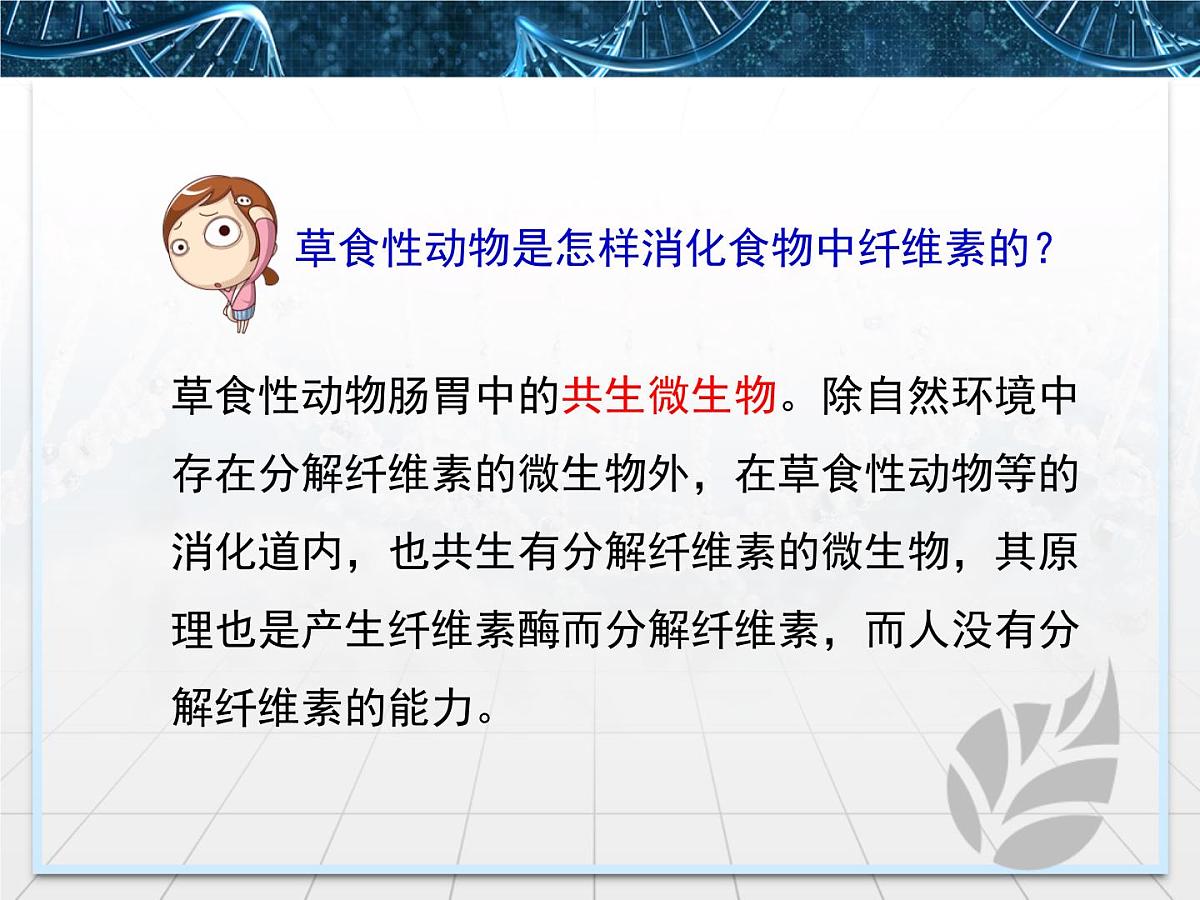 人教版 (新课标)高中生物选修1 2-3《分解纤维素的微生物的分离》课件第3页