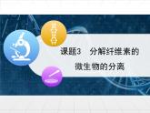 人教版 (新課標(biāo))高中生物選修1 2-3《分解纖維素的微生物的分離》名校課件