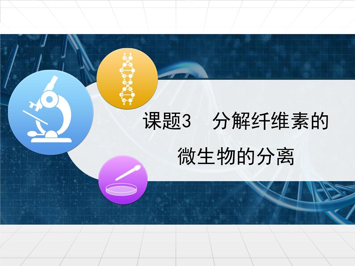 人教版 (新课标)高中生物选修1 2-3《分解纤维素的微生物的分离》名校课件第1页