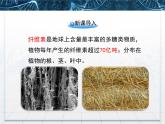 人教版 (新課標(biāo))高中生物選修1 2-3《分解纖維素的微生物的分離》名校課件