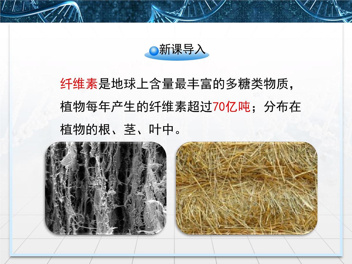 人教版 (新课标)高中生物选修1 2-3《分解纤维素的微生物的分离》名校课件第2页