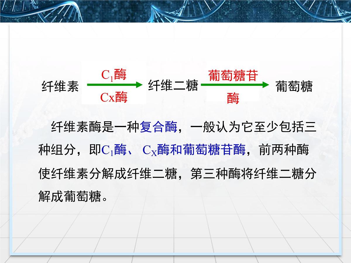 人教版 (新课标)高中生物选修1 2-3《分解纤维素的微生物的分离》名校课件第6页