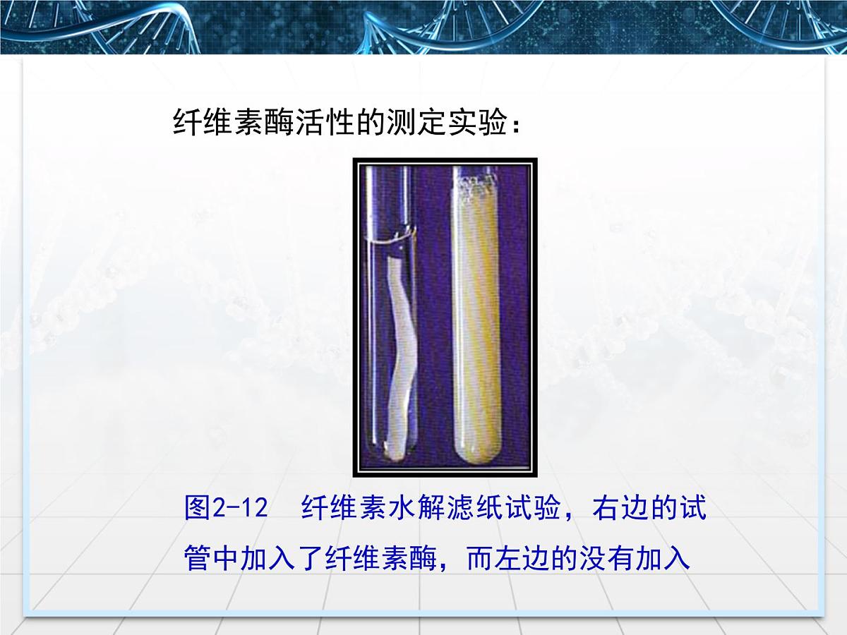 人教版 (新课标)高中生物选修1 2-3《分解纤维素的微生物的分离》名校课件第7页