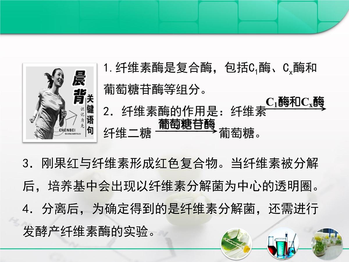 人教版 (新课标)高中生物选修1 2-3《分解纤维素的微生物的分离》复习课件第3页