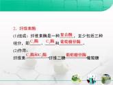 人教版 (新課標(biāo))高中生物選修1 2-3《分解纖維素的微生物的分離》復(fù)習(xí)課件