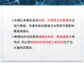 人教版 (新課標(biāo))高中生物選修1 3-1《菊花的組織培養(yǎng)》課件
