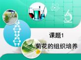 人教版 (新課標(biāo))高中生物選修1 3-1《菊花的組織培養(yǎng)》復(fù)習(xí)課件