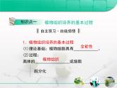 人教版 (新課標(biāo))高中生物選修1 3-1《菊花的組織培養(yǎng)》復(fù)習(xí)課件