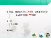 人教版 (新課標(biāo))高中生物選修1 3-1《菊花的組織培養(yǎng)》復(fù)習(xí)課件