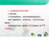人教版 (新課標(biāo))高中生物選修1 3-1《菊花的組織培養(yǎng)》復(fù)習(xí)課件