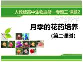 人教版 (新課標)高中生物選修1 3-2《月季的花藥培養(yǎng)》（第2課時）課件
