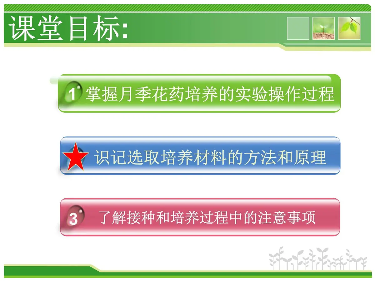 人教版 (新课标)高中生物选修1 3-2《月季的花药培养》（第2课时）课件第3页