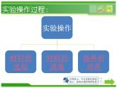 人教版 (新課標)高中生物選修1 3-2《月季的花藥培養(yǎng)》（第2課時）課件