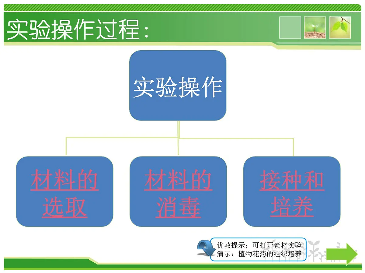 人教版 (新课标)高中生物选修1 3-2《月季的花药培养》（第2课时）课件第5页
