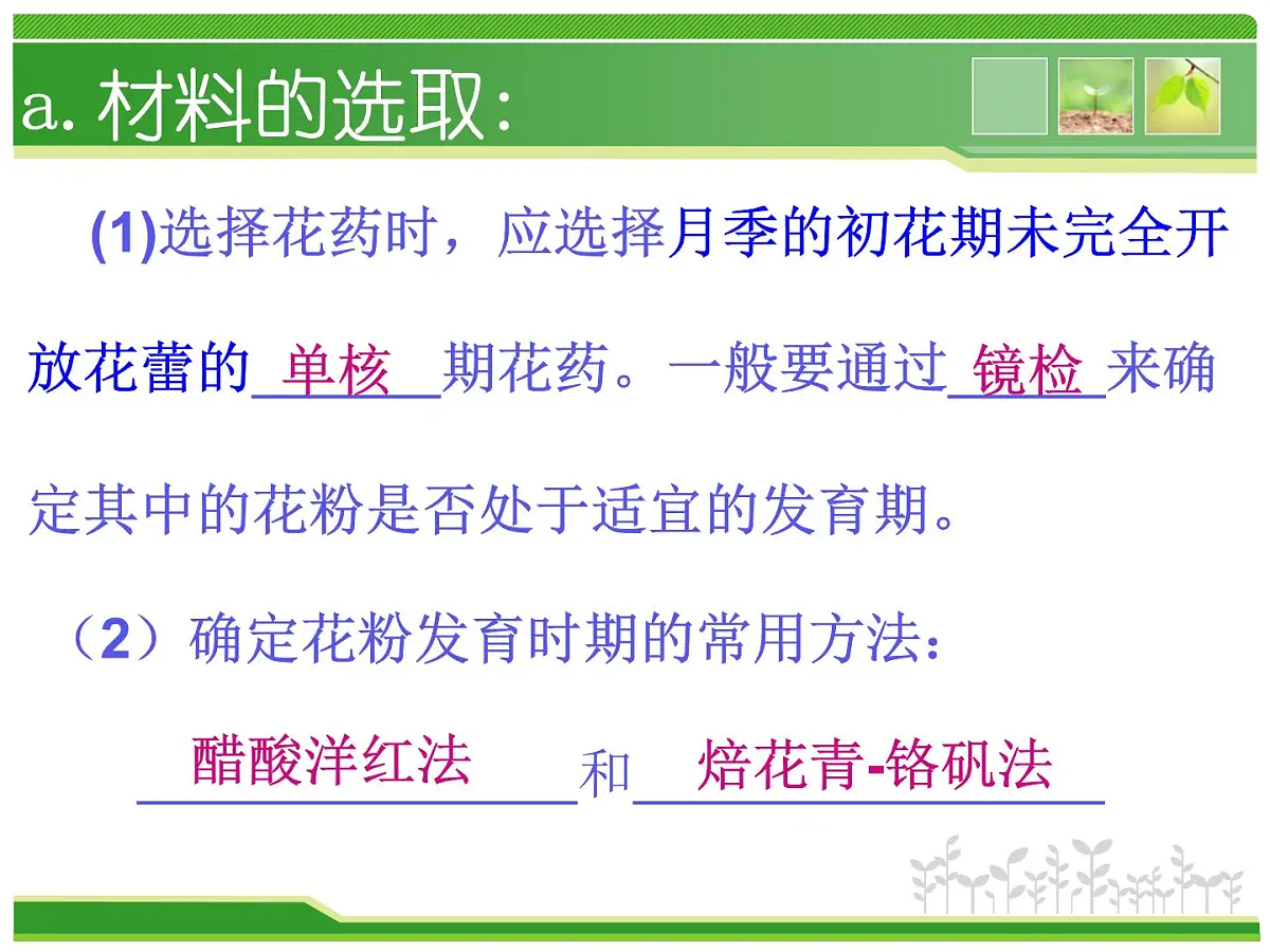 人教版 (新课标)高中生物选修1 3-2《月季的花药培养》（第2课时）课件第6页