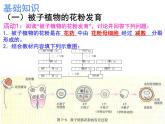 人教版 (新課標)高中生物選修1 3-2《月季的花藥培養(yǎng)》（第1課時）課件