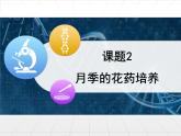 人教版 (新課標)高中生物選修1 3-2《月季的花藥培養(yǎng)》課件