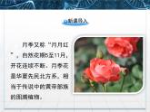 人教版 (新課標)高中生物選修1 3-2《月季的花藥培養(yǎng)》課件