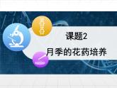 人教版 (新課標)高中生物選修1 3-2《月季的花藥培養(yǎng)》課件