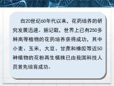 人教版 (新課標)高中生物選修1 3-2《月季的花藥培養(yǎng)》課件